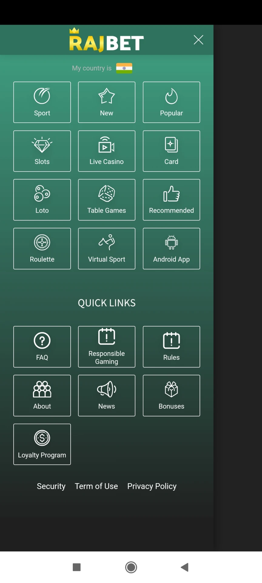 Screenshot of the Rajbet app menu.
