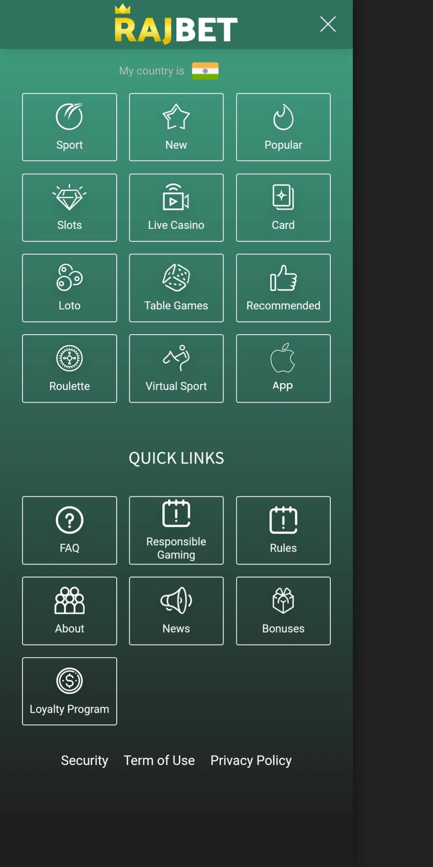 Encontre a guia no menu Rajbet para baixar o aplicativo para iOS.