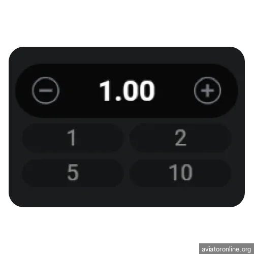 Amount of the bet.